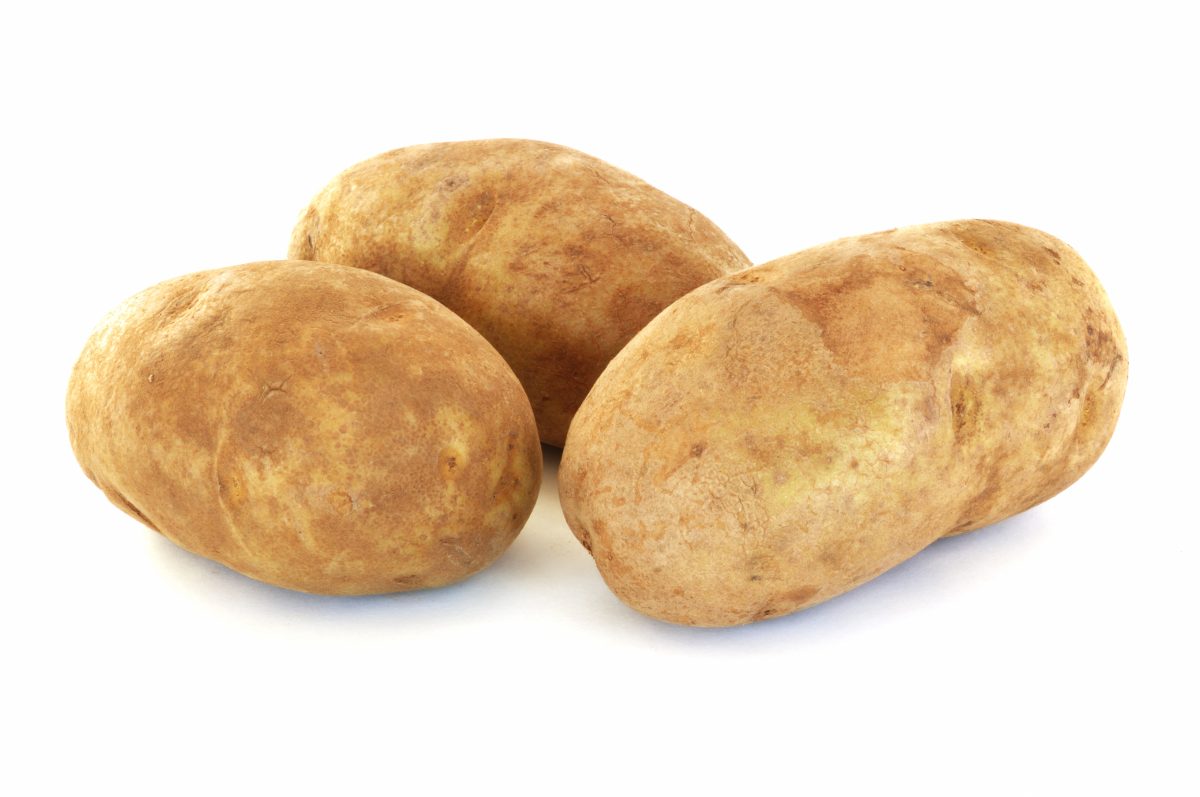 Russet Potatoes are the June Harvest of the Month One Spirit Blog